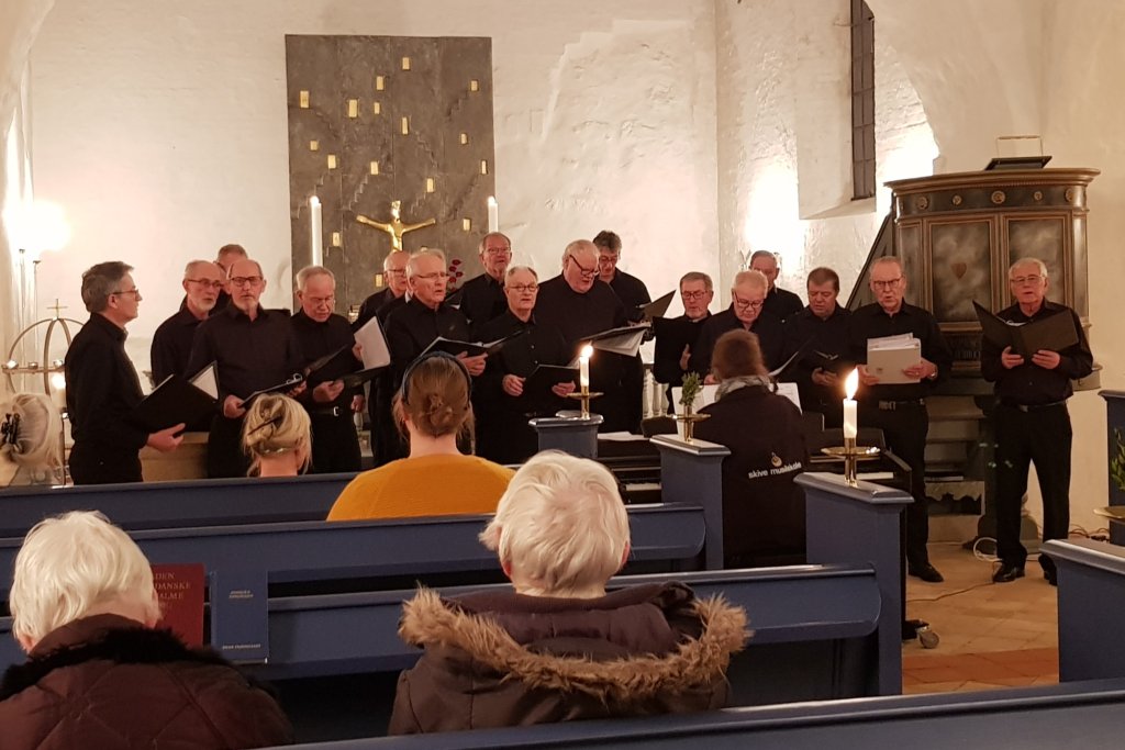 Skive musikskoles herrekor.